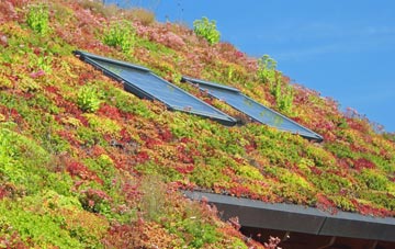Goldhanger living roof systems